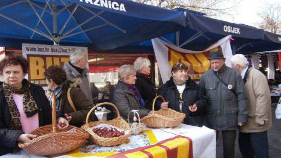 Osijek: Podijeljeno dvije tisuće pisanica