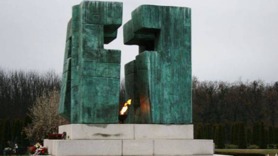 Vukovar 18.11.2014.